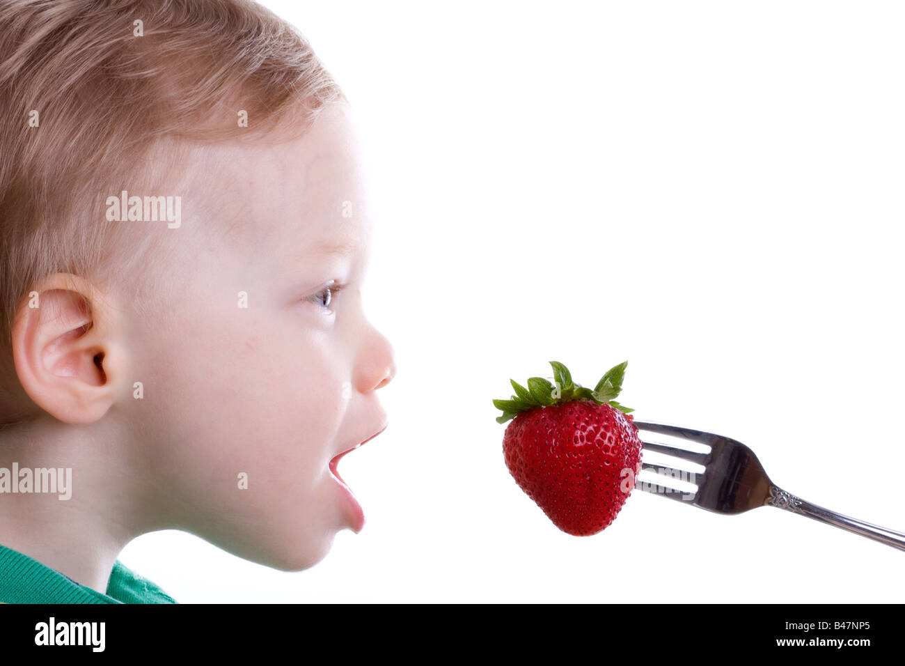 Boy eating strawberry on a fork Stock Photo Alamy