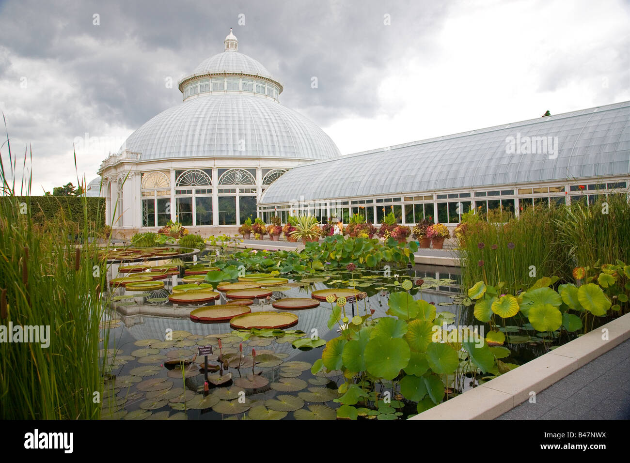 The Conservatory At The New York Botanical Gardens With Lily Pond In 