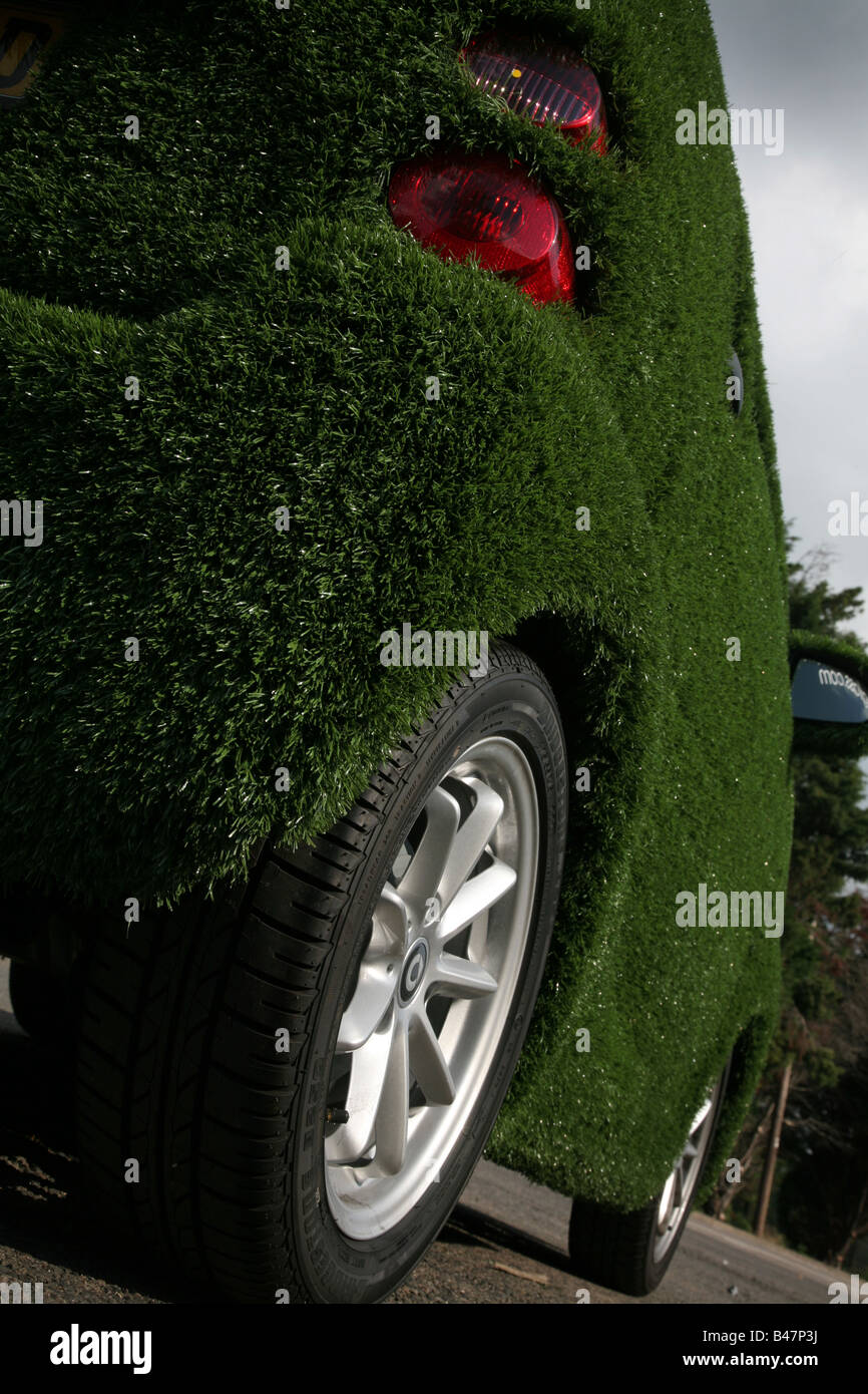 Car Covered Grass Berlin Car Covered Grass Berlin