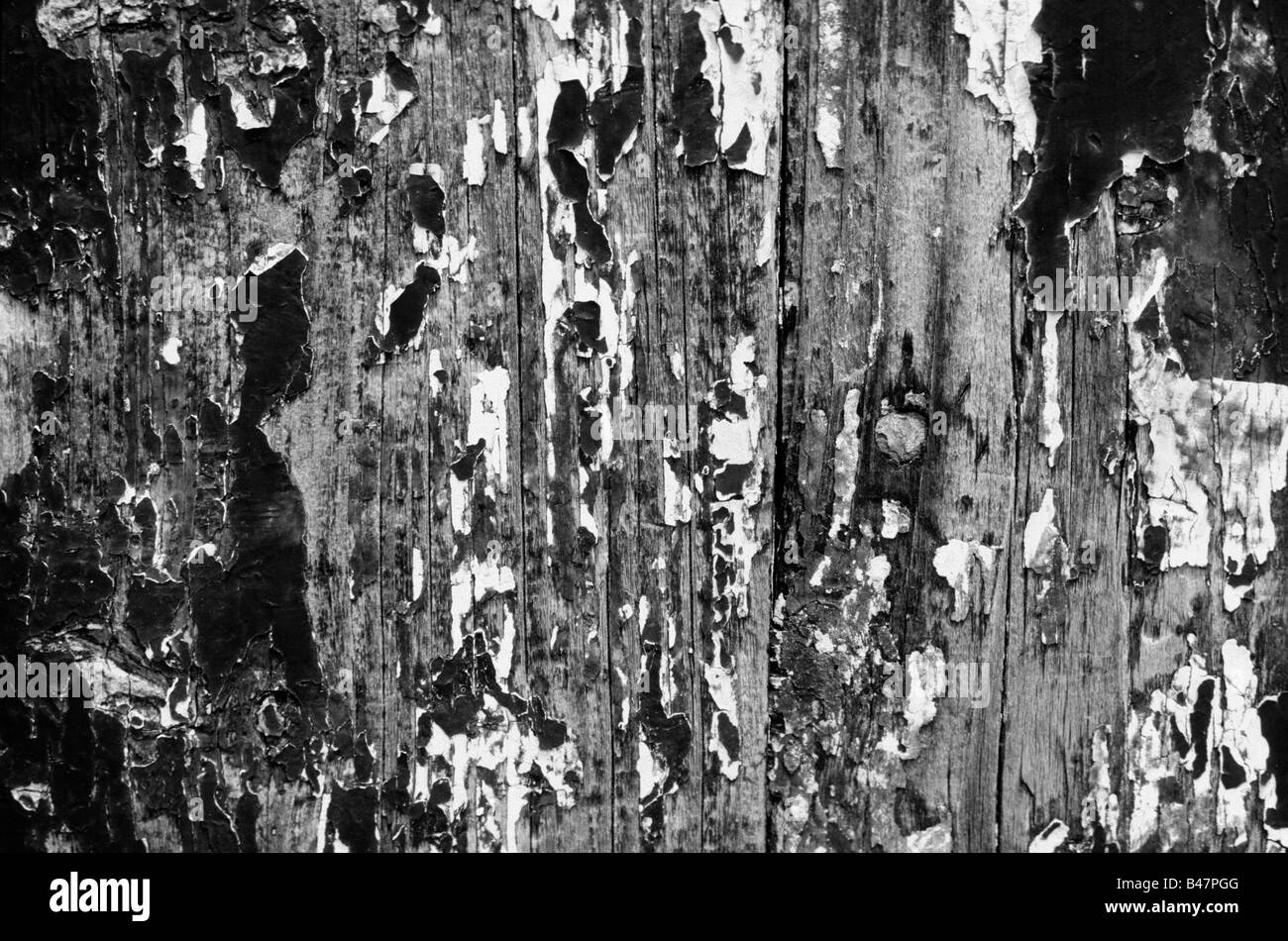 An old wood door with weathered paint close up. Stock Photo