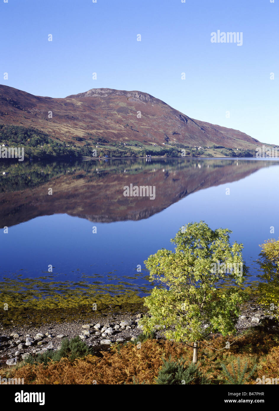 dh LOCH BROOM ROSS CROMARTY Green leaved trees golden autumnal brown bracken lochside loch reflections Stock Photo