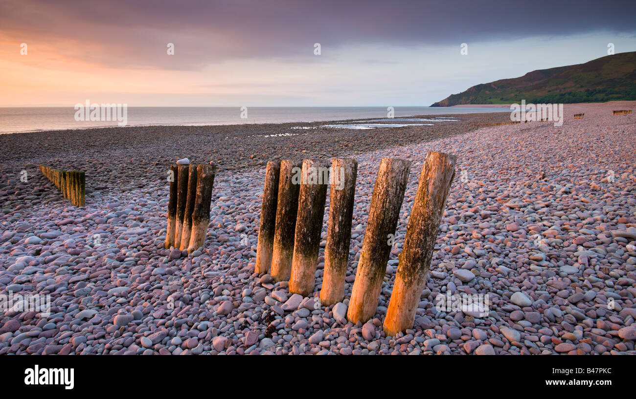 Weathered wooden coastal defences on Bossington Beach Exmoor National Park Somerset England Stock Photo