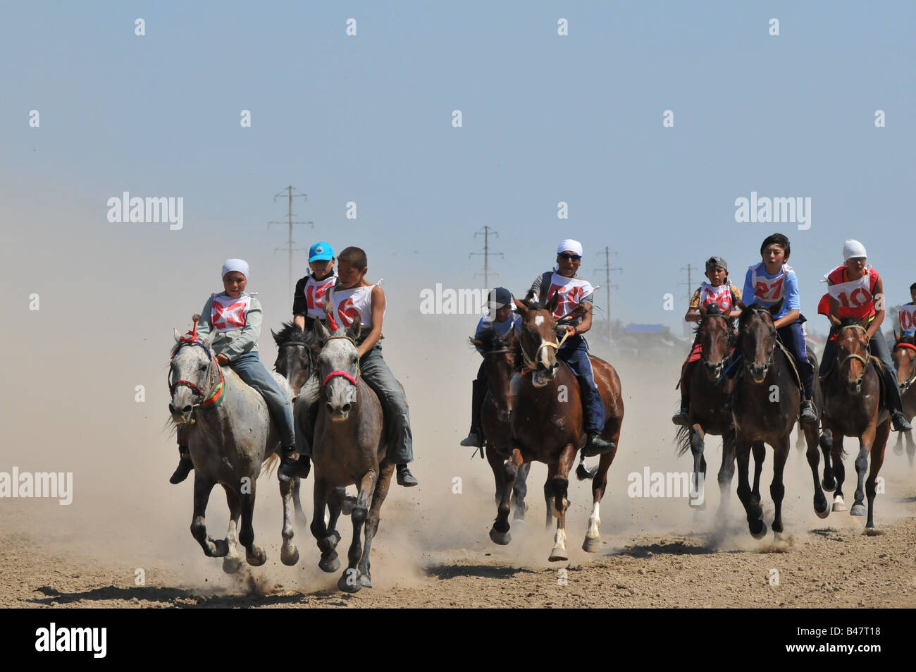 Endurance race horse hires stock photography and images Alamy