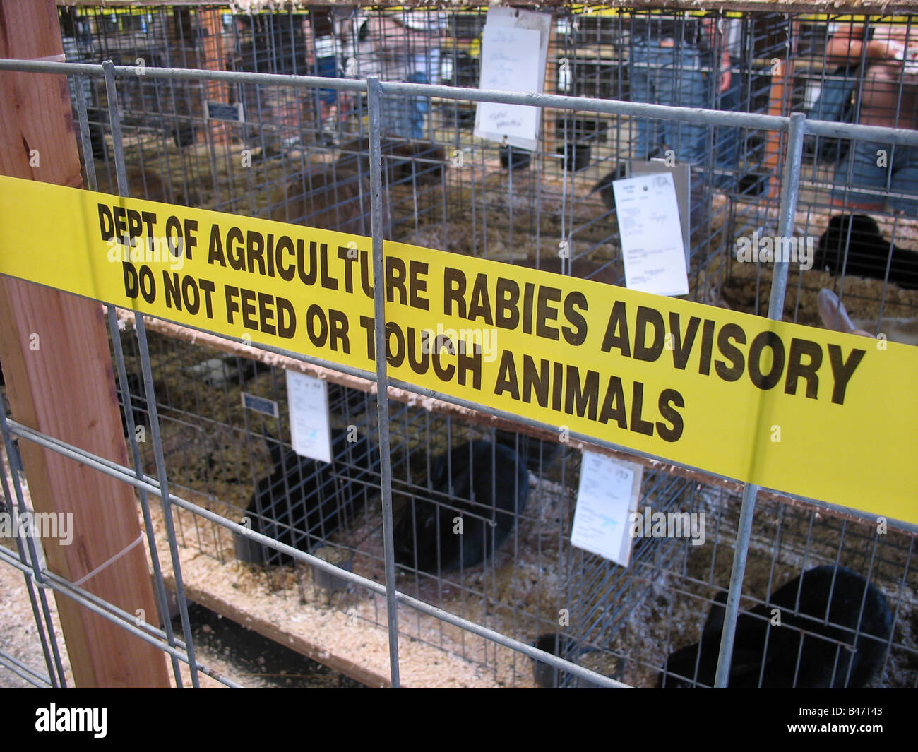 A stripe of yellow tape that reads DEPT OF AGRICULTURE RABIES ADVISORY DO NOT FEED OR TOUCH ANIMALS Stock Photo