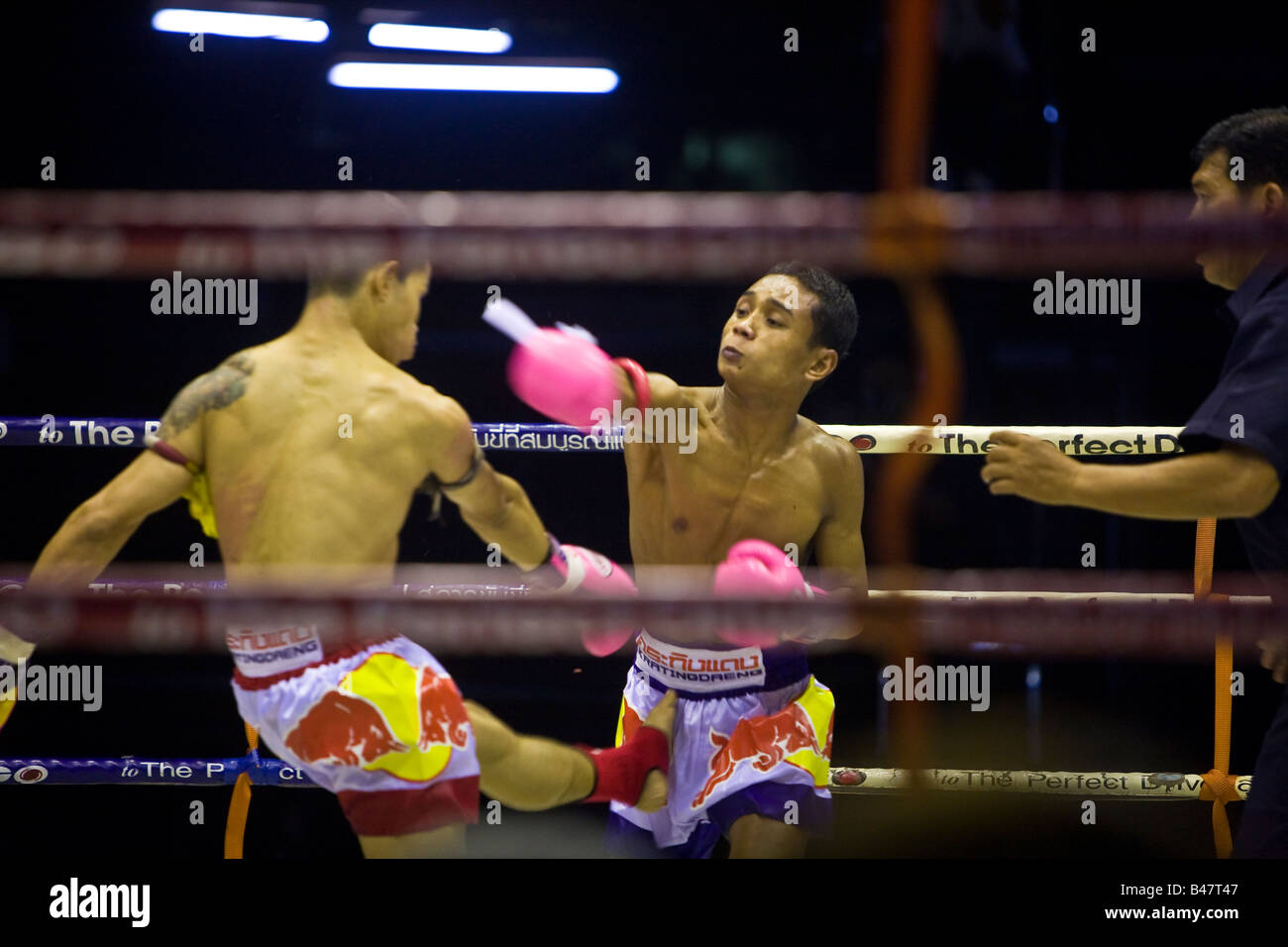 Thai Boxing Lumpinee Stadium Bangkok Thailand Stock Photo Alamy