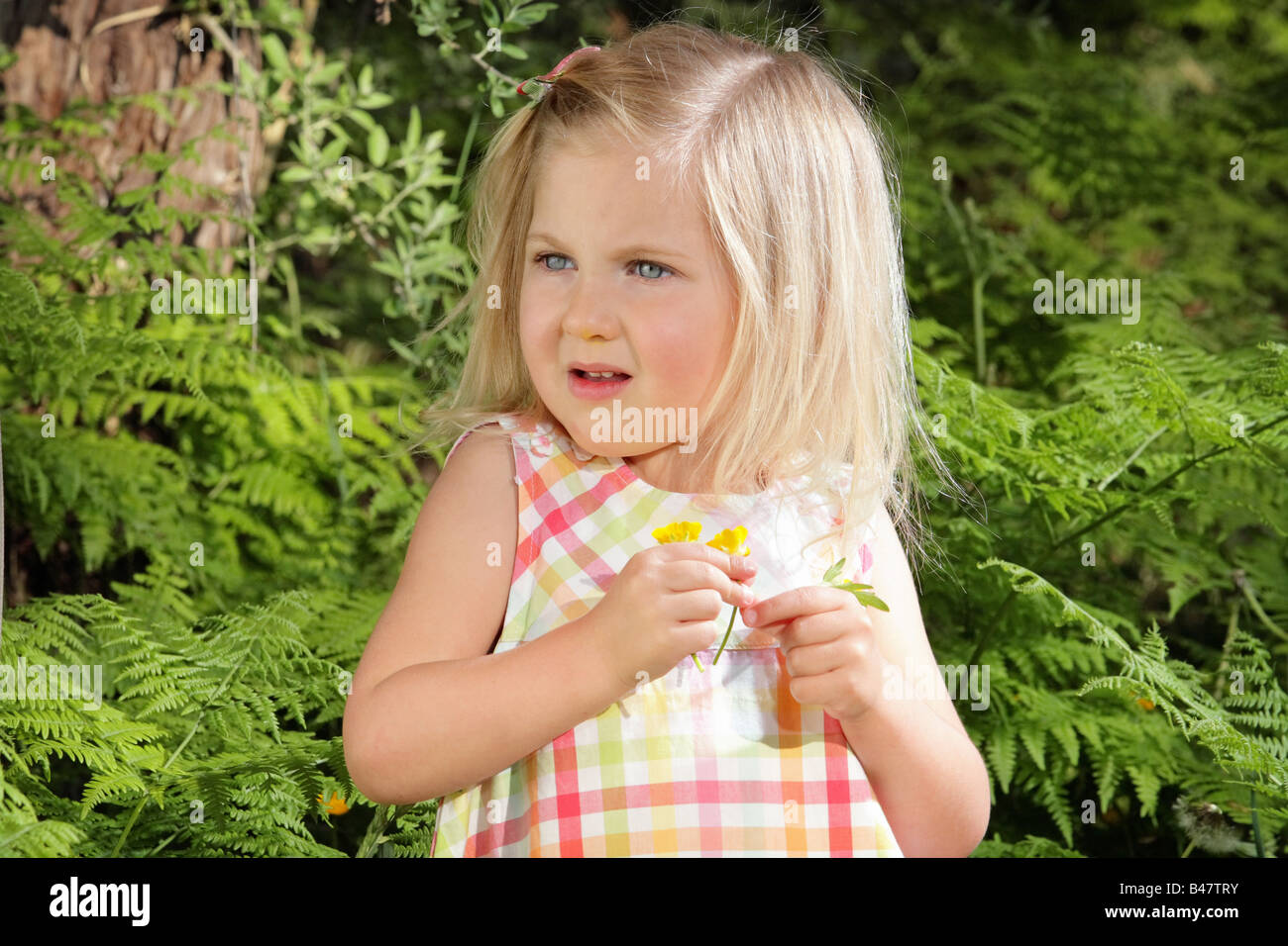 young girl picking wildflowers amongst the ferns Stock Photo