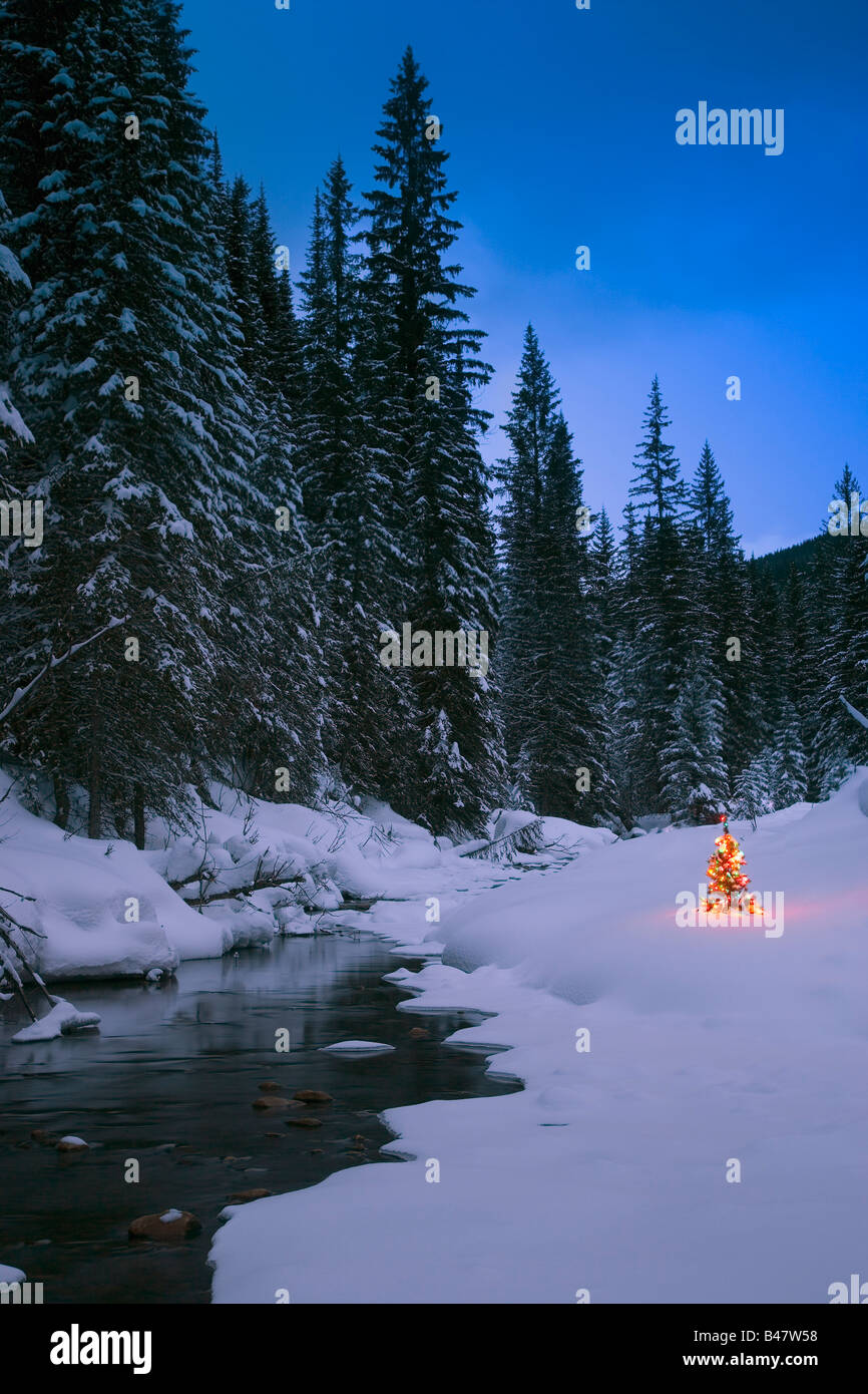 Glowing Christmas tree by mountain stream Stock Photo Alamy