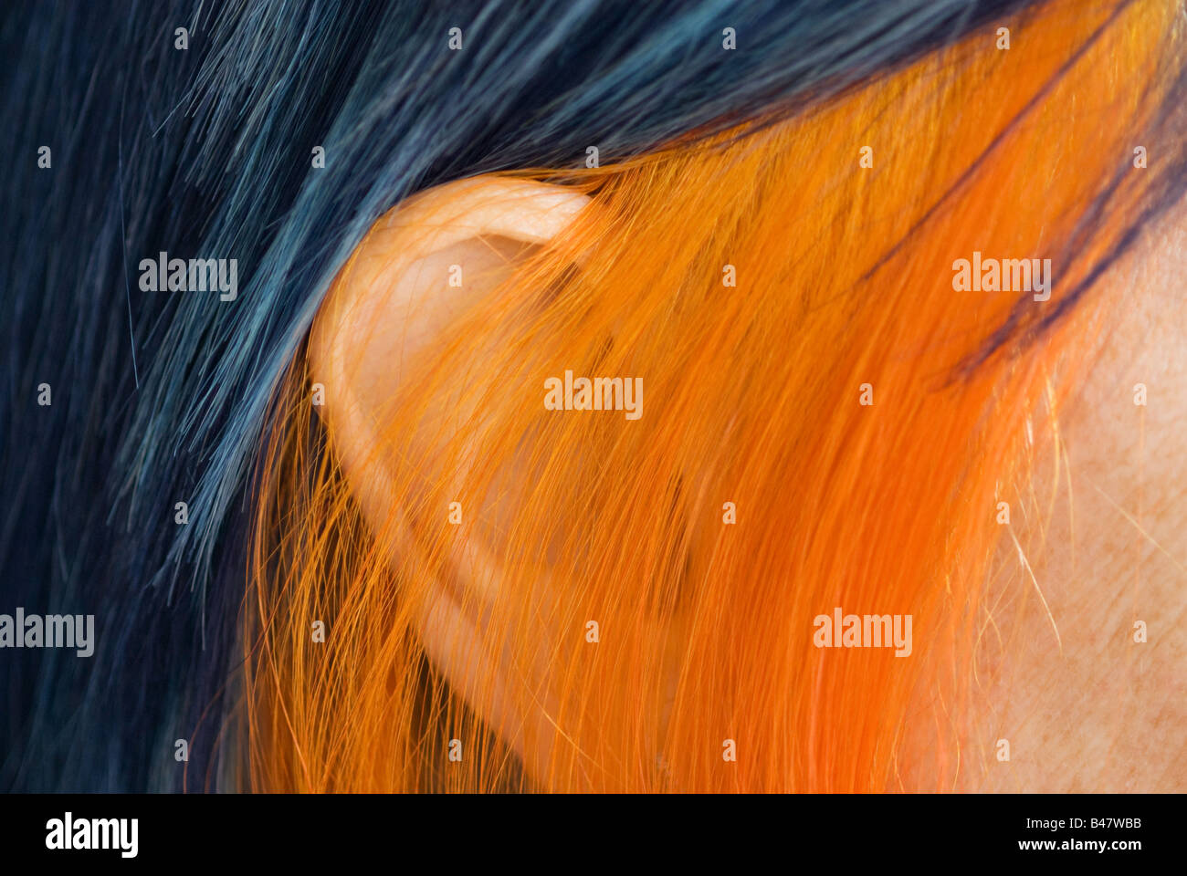 Hair Color Colour Dye Stripe Blue Orange Stock Photo