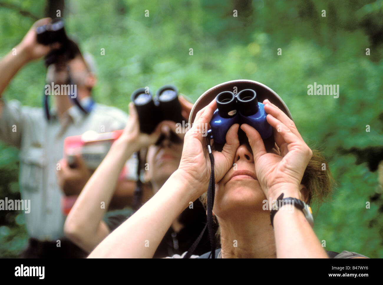 Group of people looking through binoculars watching for birds Stock