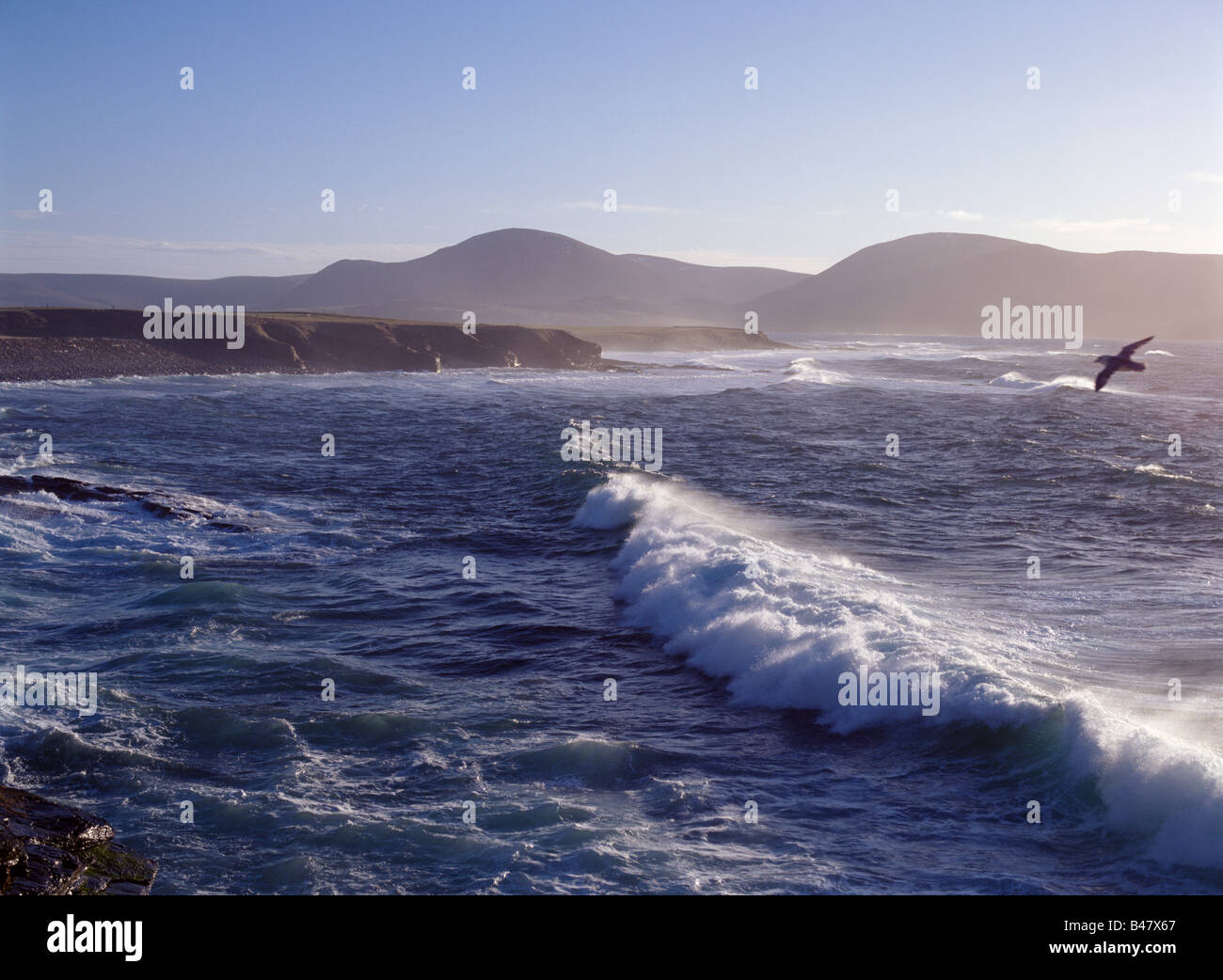 dh Billia Croo Shore sea OUTERTOWN BRECKNESS ORKNEY SCOTLAND Crashing wave broad waves seascape coast wild coastline big energy breaking storm britain Stock Photo