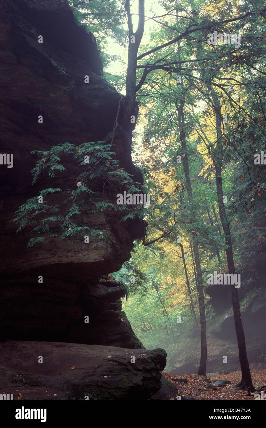 cliff, Turkey Run State Park, Indiana Stock Photo Alamy