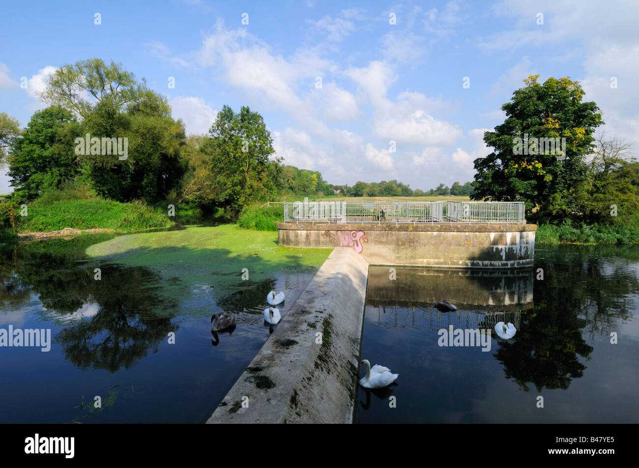 Weir at Byrons Pool Grantchester cambridgeshire England UK Stock Photo