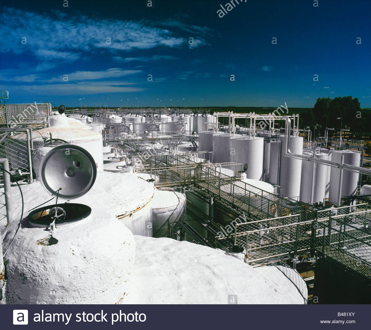 Wine production at Lindemans Karadoc Winery, Victoria, Australia Stock Photo 19846147 Alamy