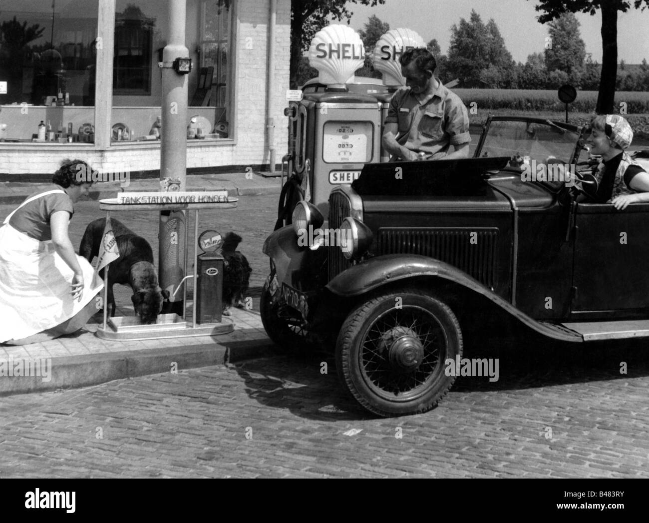 transport / transportation, cars, filling stations, Shell, attendent, woman in car, dog, Netherlands, 1950s, , Stock Photo
