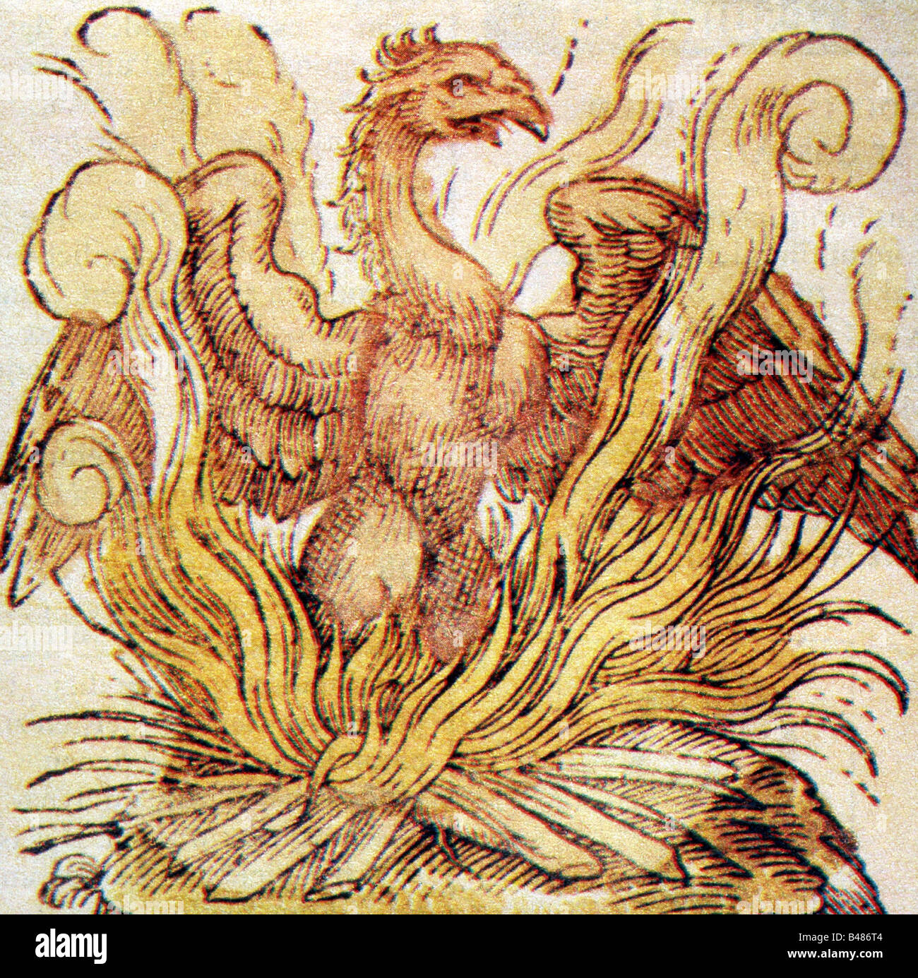 superstition, mythical creatures, phoenix, rising from fire, coloured copper engraving, 1582, Stock Photo