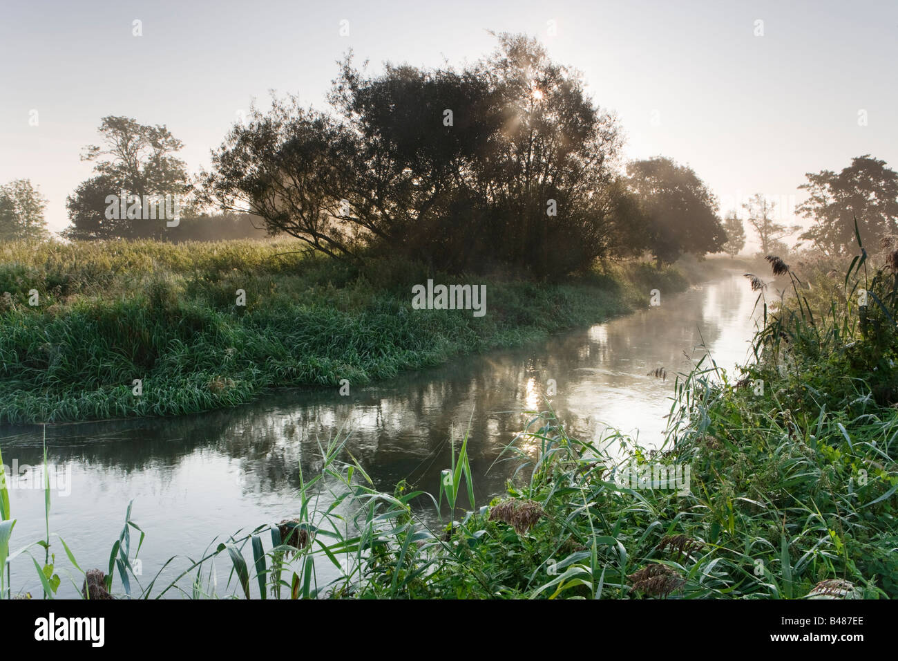 River Wey at Send, Surrey, UK. Misty dawn in late summer. Stock Photo