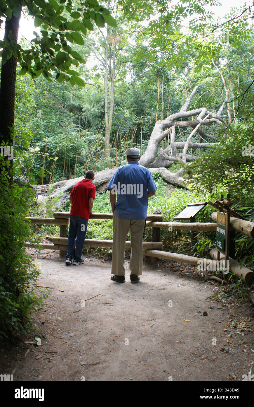 Zoo Visitors Stock Photo