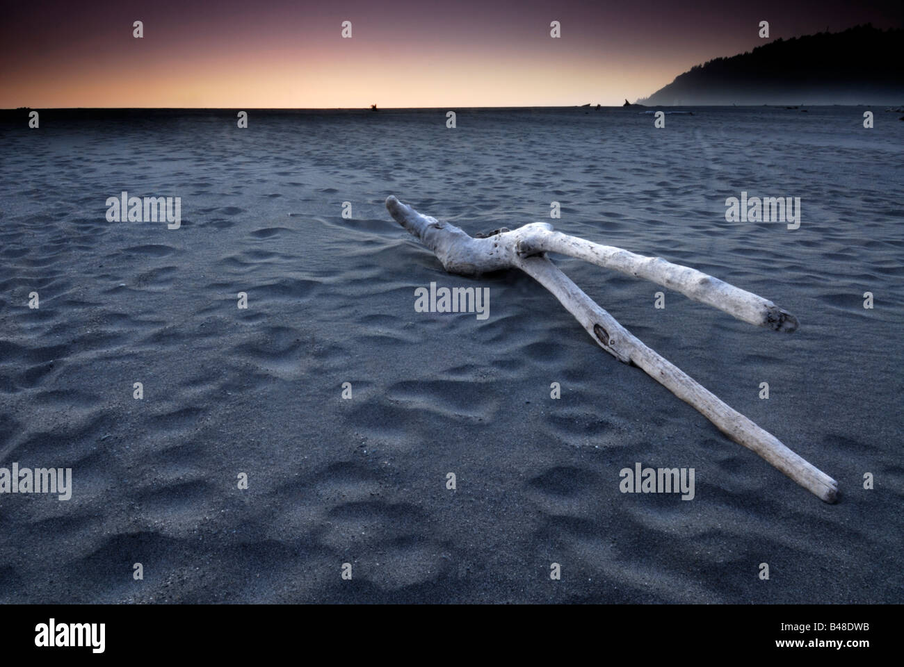 Driftwood on beach near Klamath, Del Norte County, Redwood National