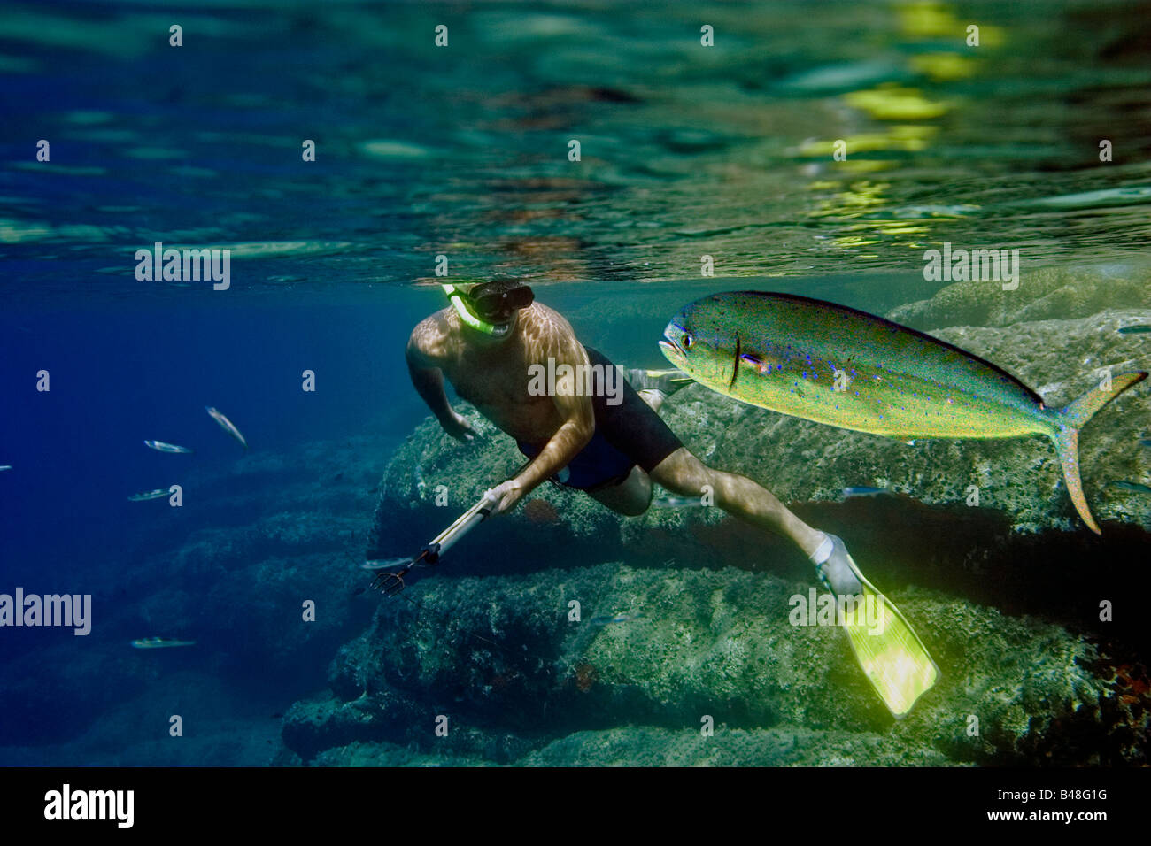 Spear fishing coral hi-res stock photography and images - Alamy