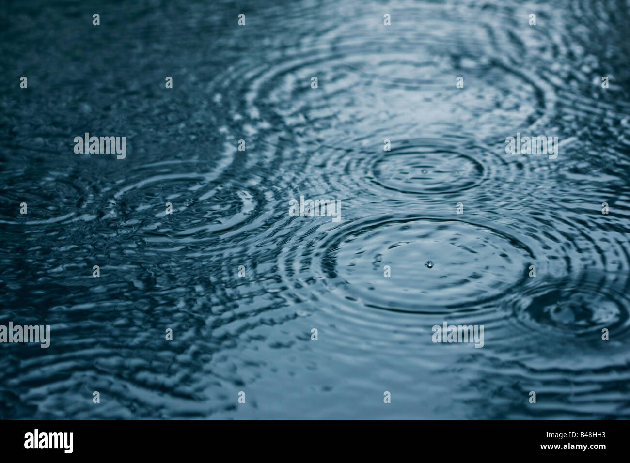 Close up image of raindrops and rippled water during heavy rainfall ...