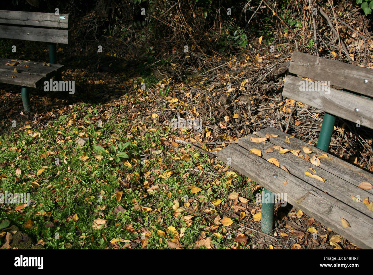 two benches in park covered with brown leaves Stock Photo - Alamy