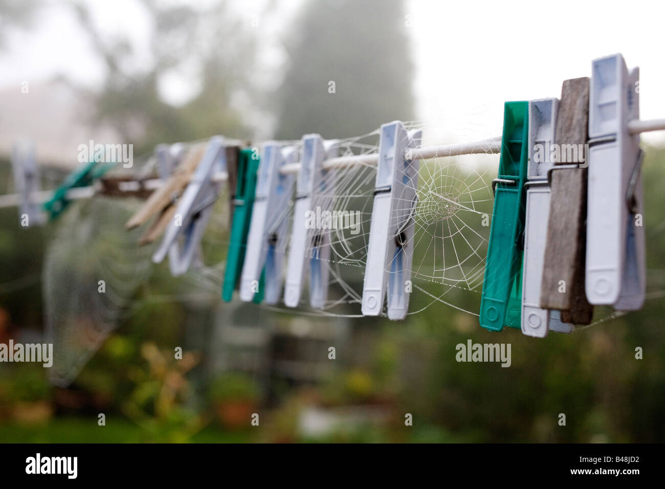 A spiders web on clothes pegs on a washing line Stock Photo Alamy