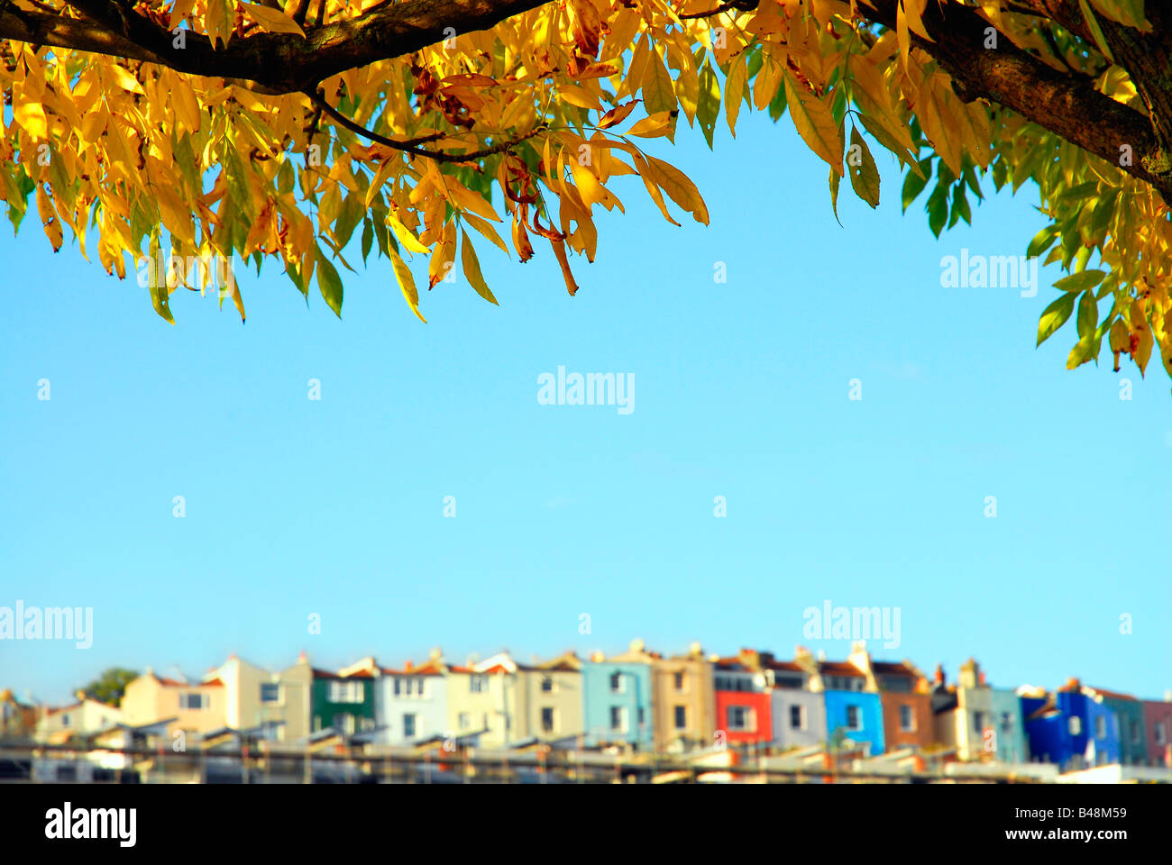 Colourful Autumn leaves on a tree over hanging a defocused row of terraced housing Stock Photo