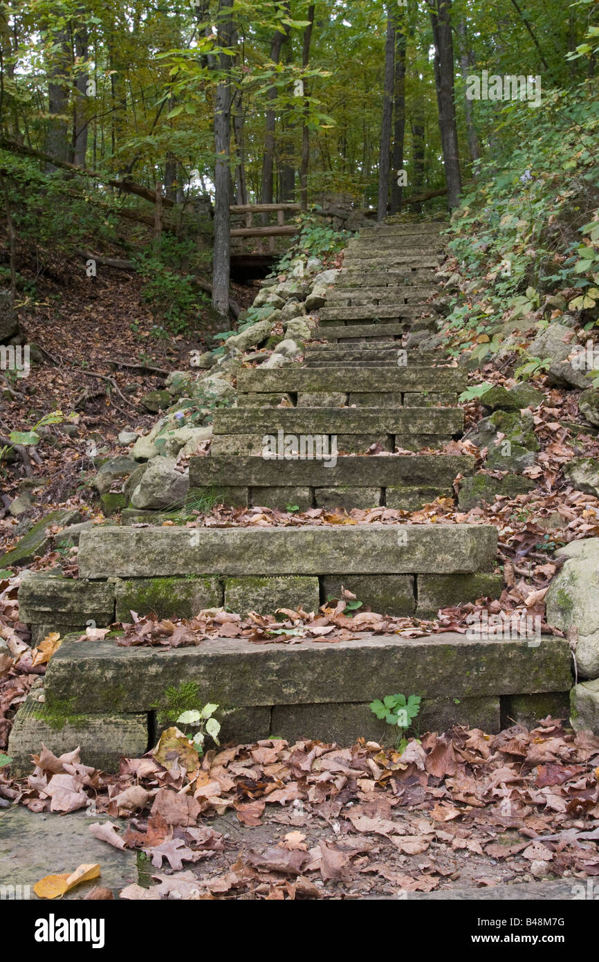 Stone staircase on trail Stock Photo