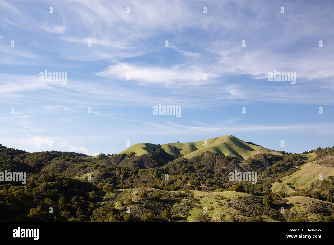 View of White Hill from Fairfax Bolinas Road Marin County California