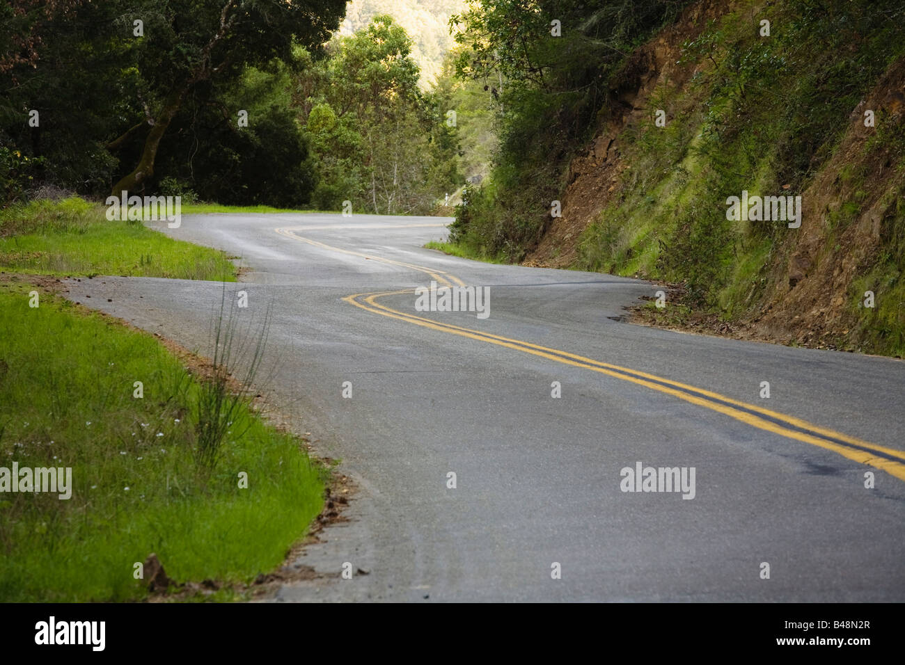 Fairfax Bolinas Road Marin County California USA Stock Photo Alamy
