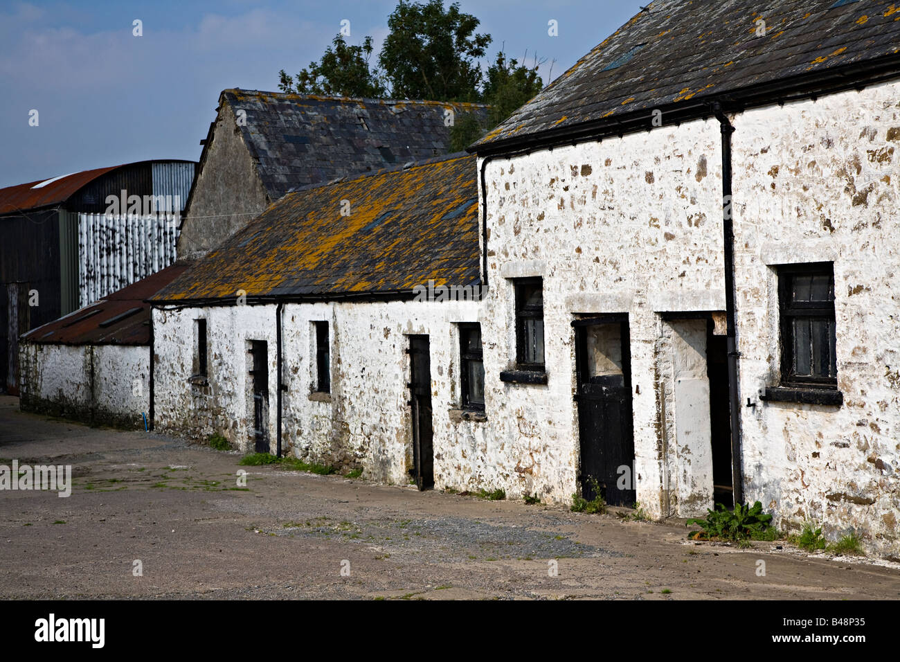 Whitewashed buildings in farmyard Wales UK Stock Photo