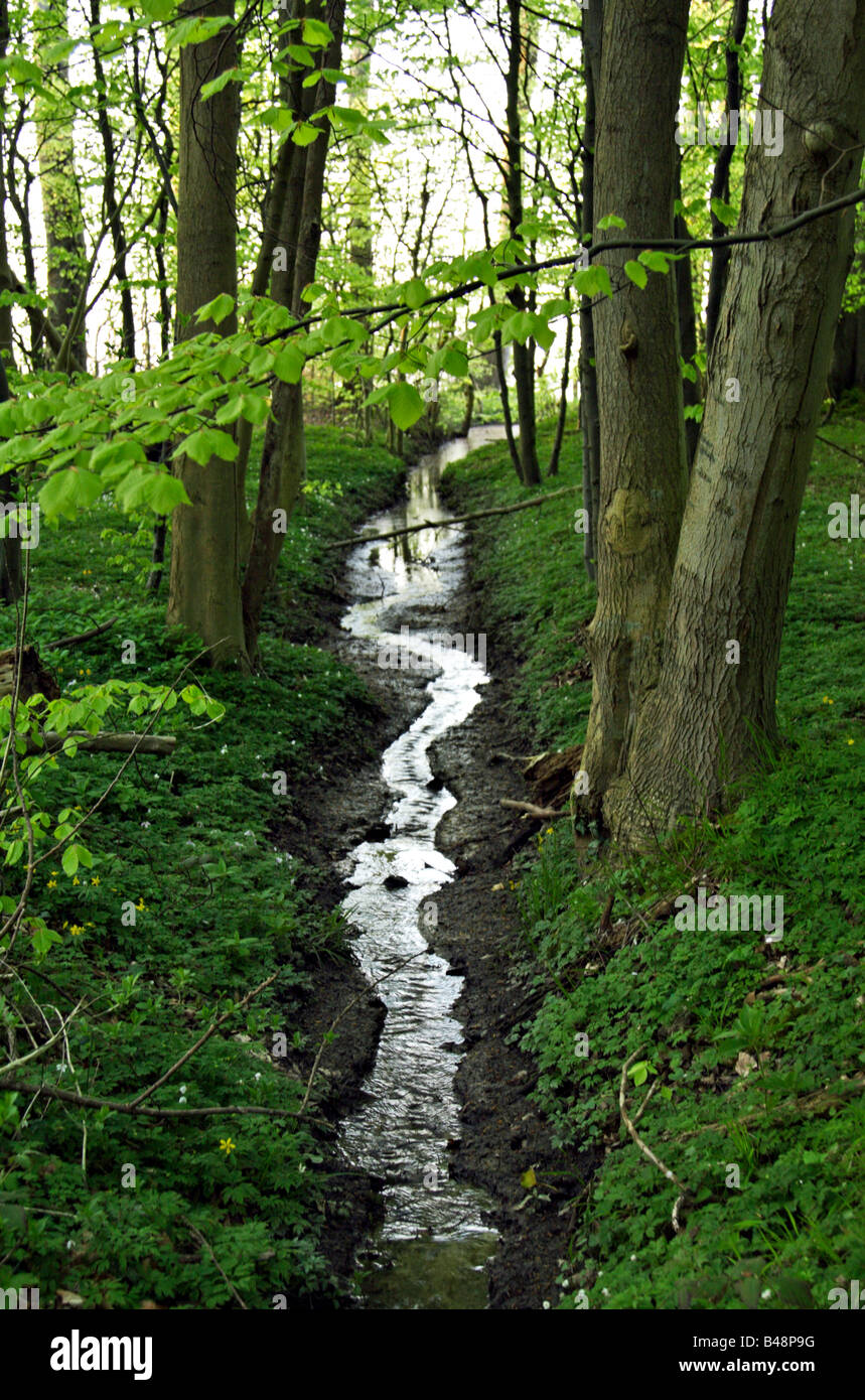 Brook hires stock photography and images Alamy