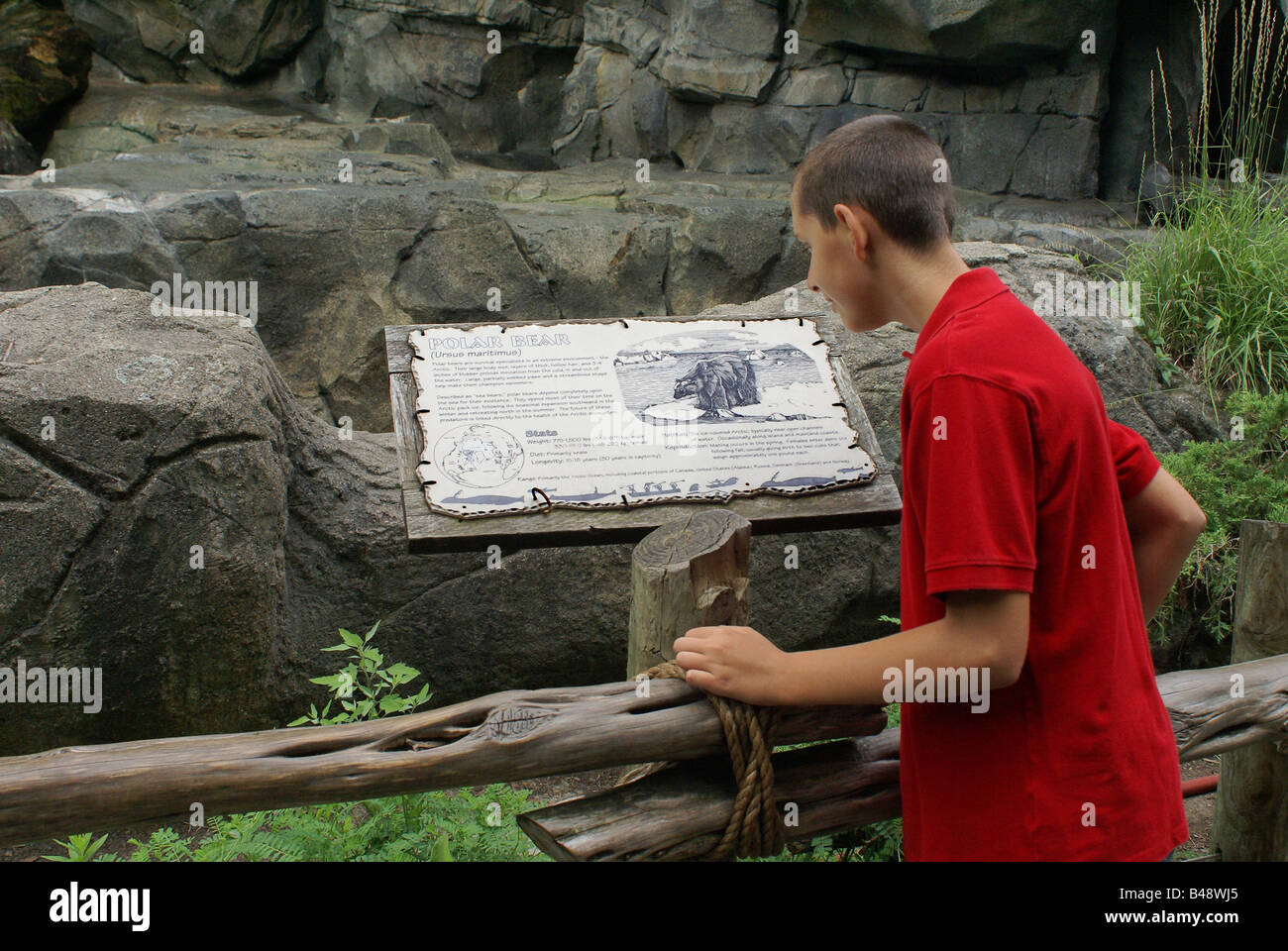 Zoo Bear Exhibit Stock Photo