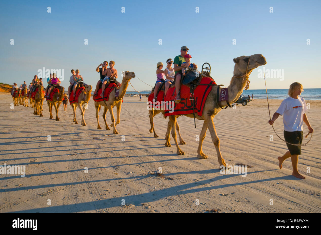 Camel trains carrying tourists on Cable Beach Broome Western Australia Stock Photo