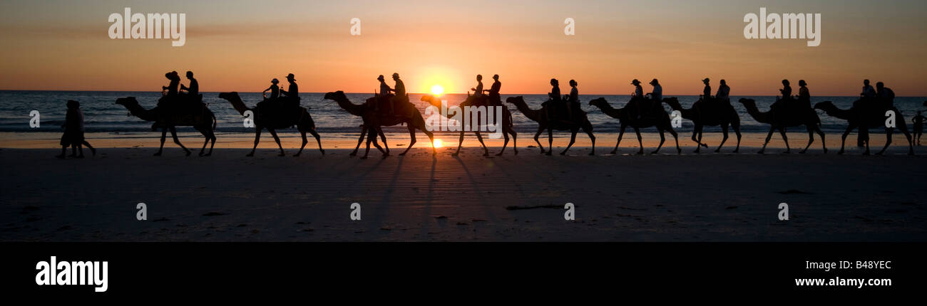 Camel trains carrying tourists at sunset on Cable Beach near Broome Western Australia Stock Photo