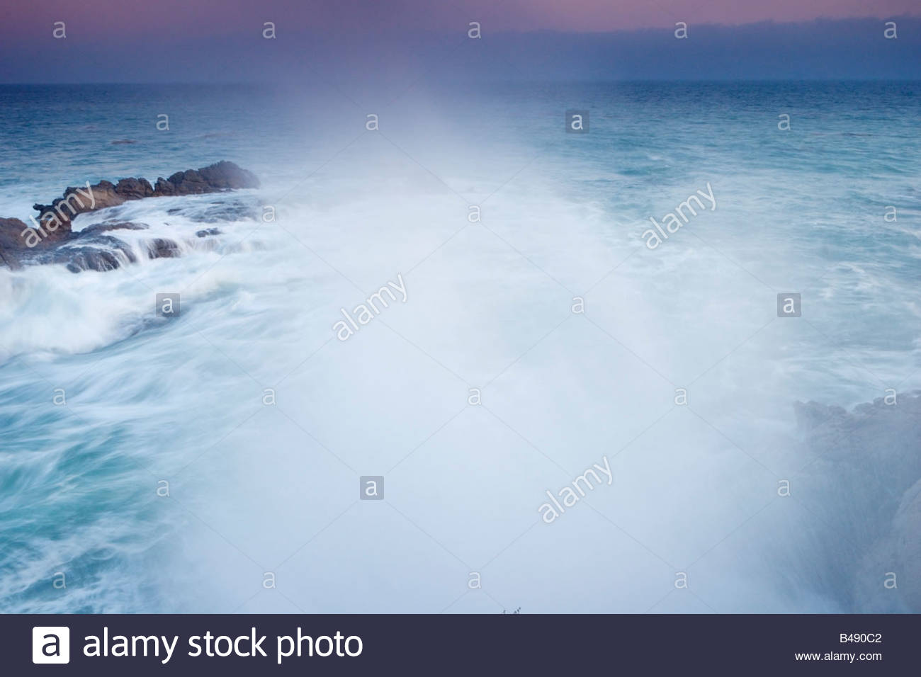 Tidal Ecosystem High Resolution Stock Photography and Images - Alamy