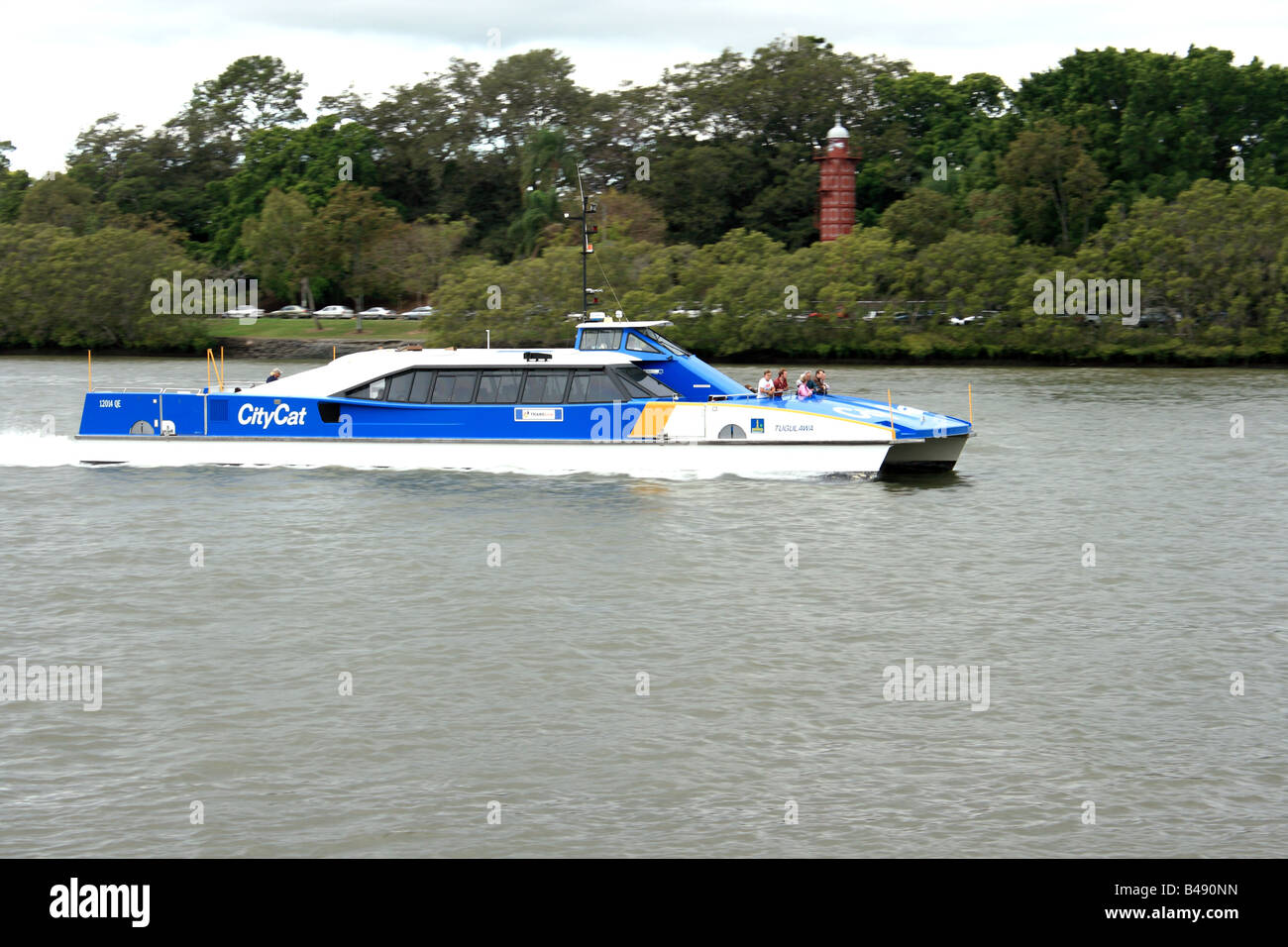 Brisbane City Council City Cat Stock Photo Alamy