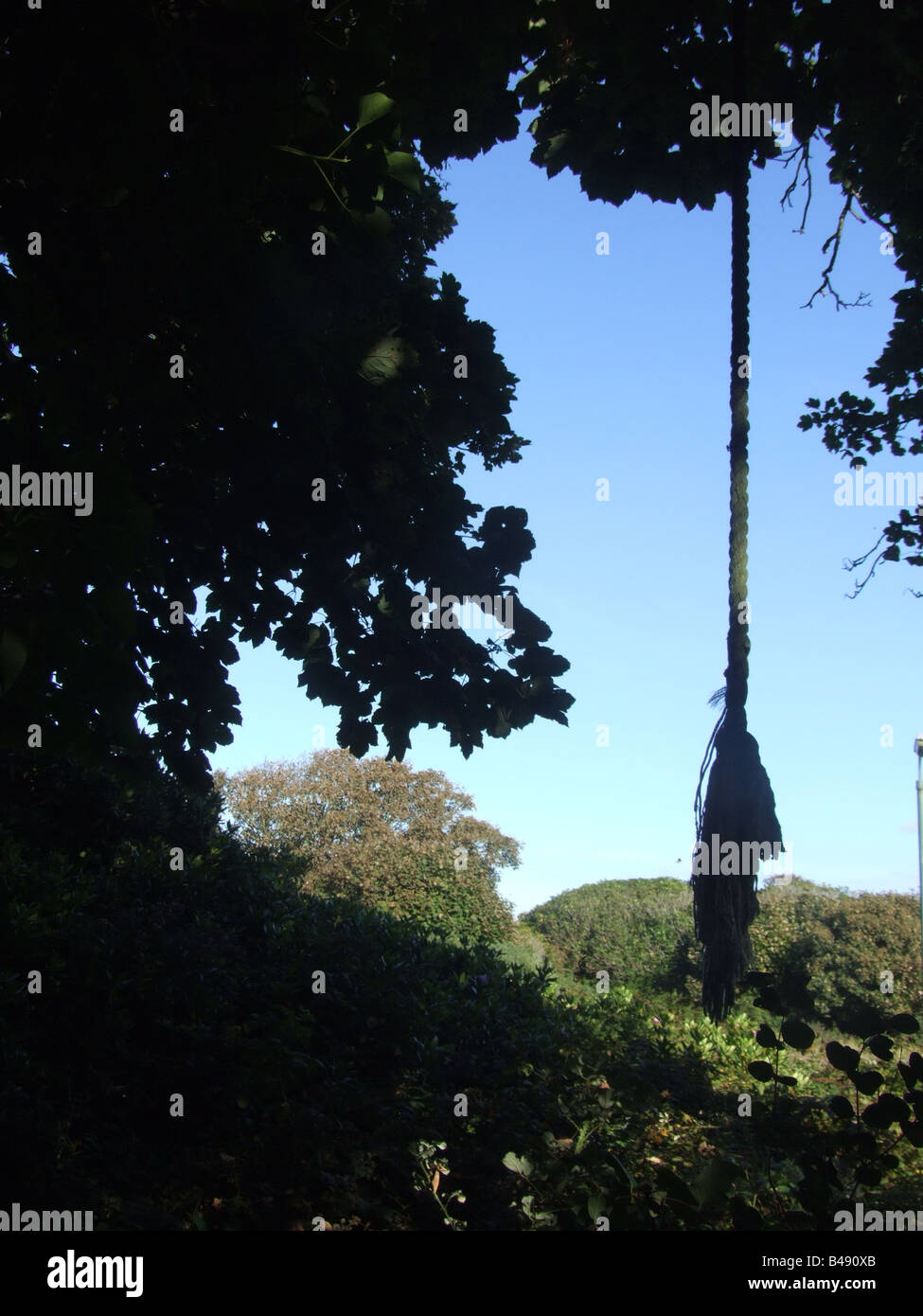 hanging rope swing from tree in country Stock Photo Alamy