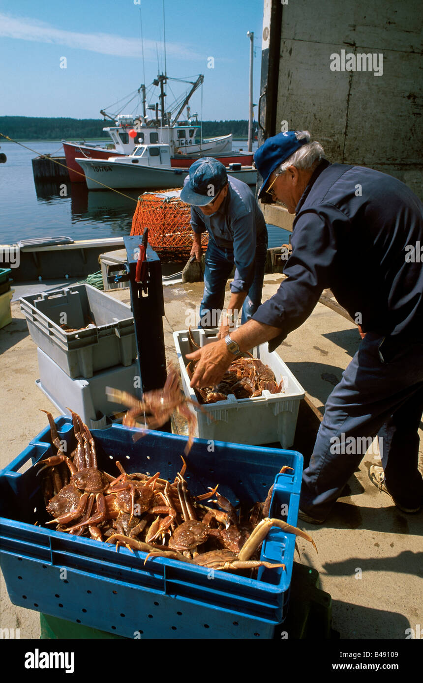 Snow crab harvest hires stock photography and images Alamy
