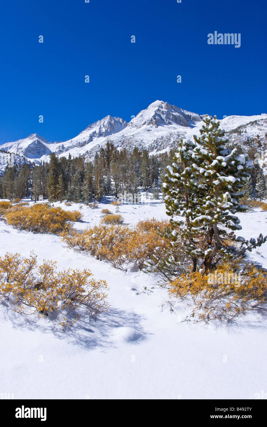 Fresh snow on Mount Abbot and Little Lakes Valley John Muir Wilderness ...