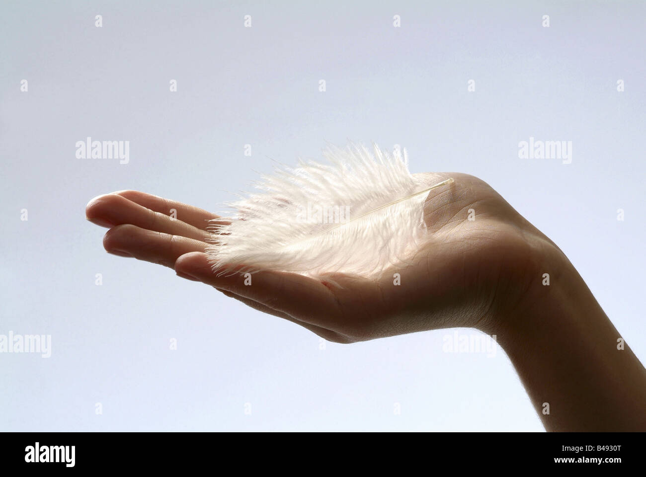 Hand holding a feather Stock Photo Alamy