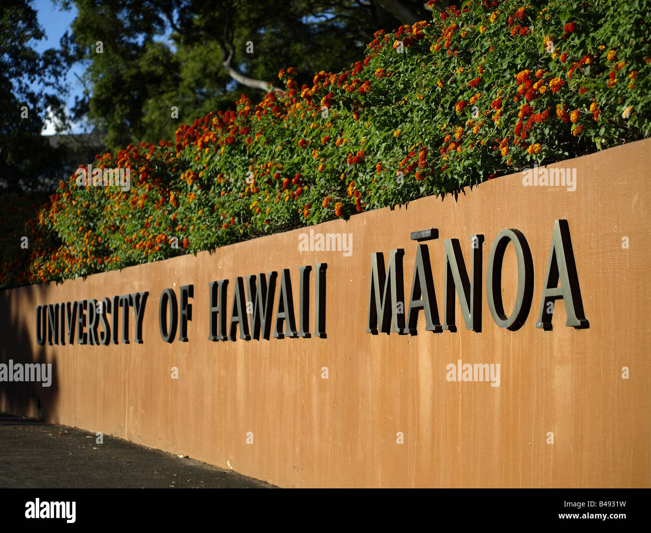 University of Hawaii Stock Photo