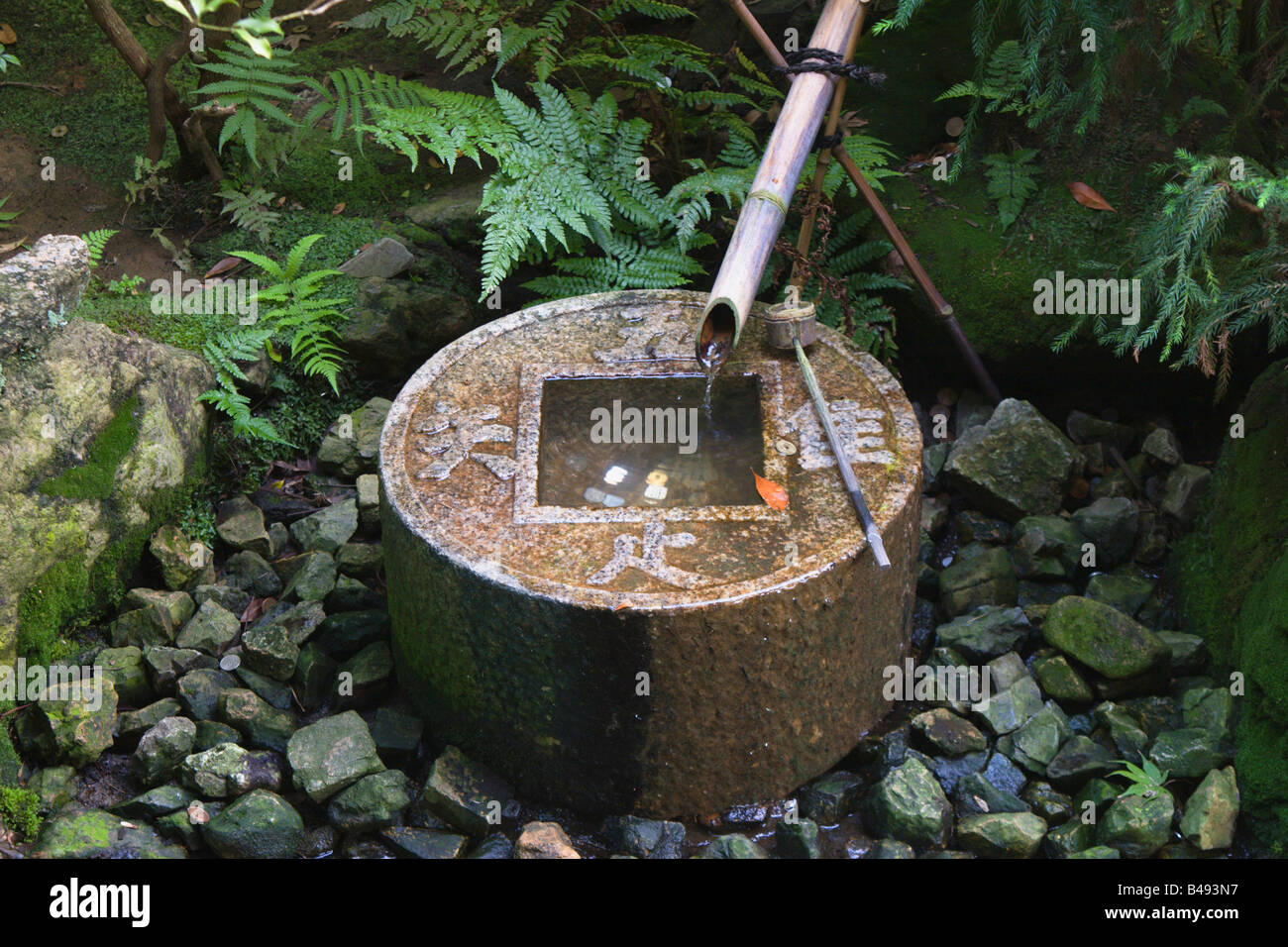 Tsukubai stone wash basin and bamboo fountain at Ryoanji Temple Kyoto