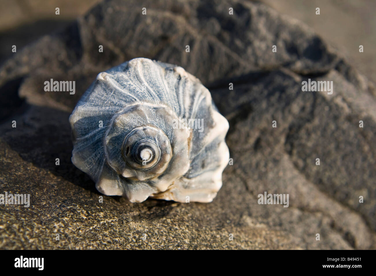 Cape may nj hires stock photography and images Alamy