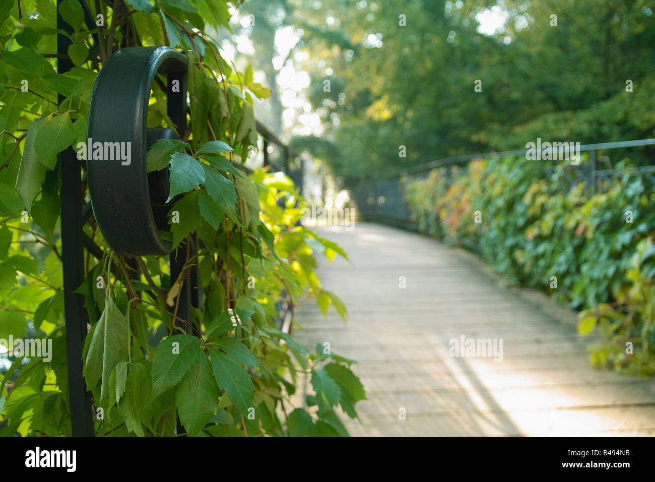 The Summer Garden Stock Photo