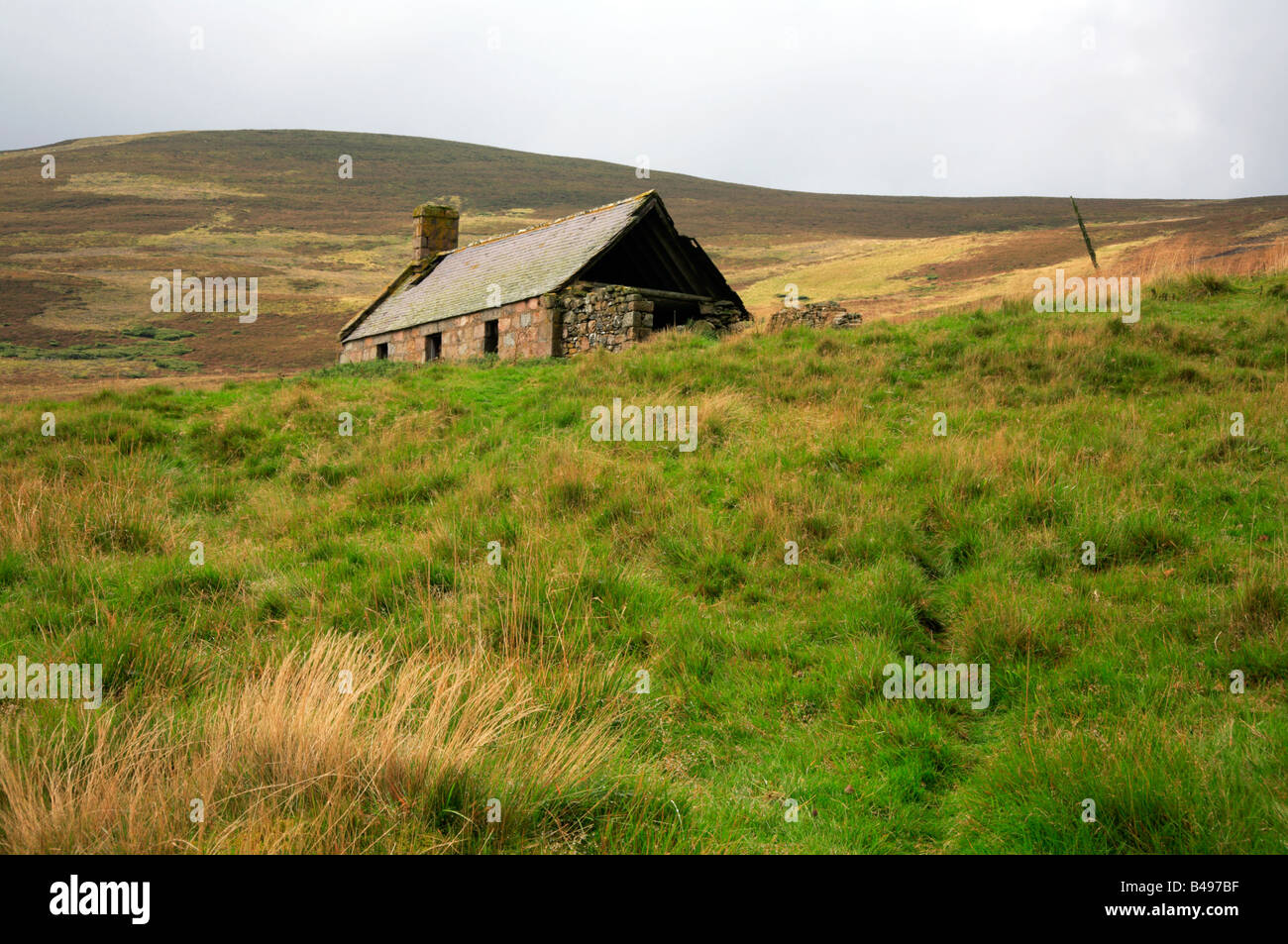 Abandoned croft on the slopes of Tom Liath, near Glen Fenzie, Ballater, Aberdeenshire, Scotland, UK. Stock Photo