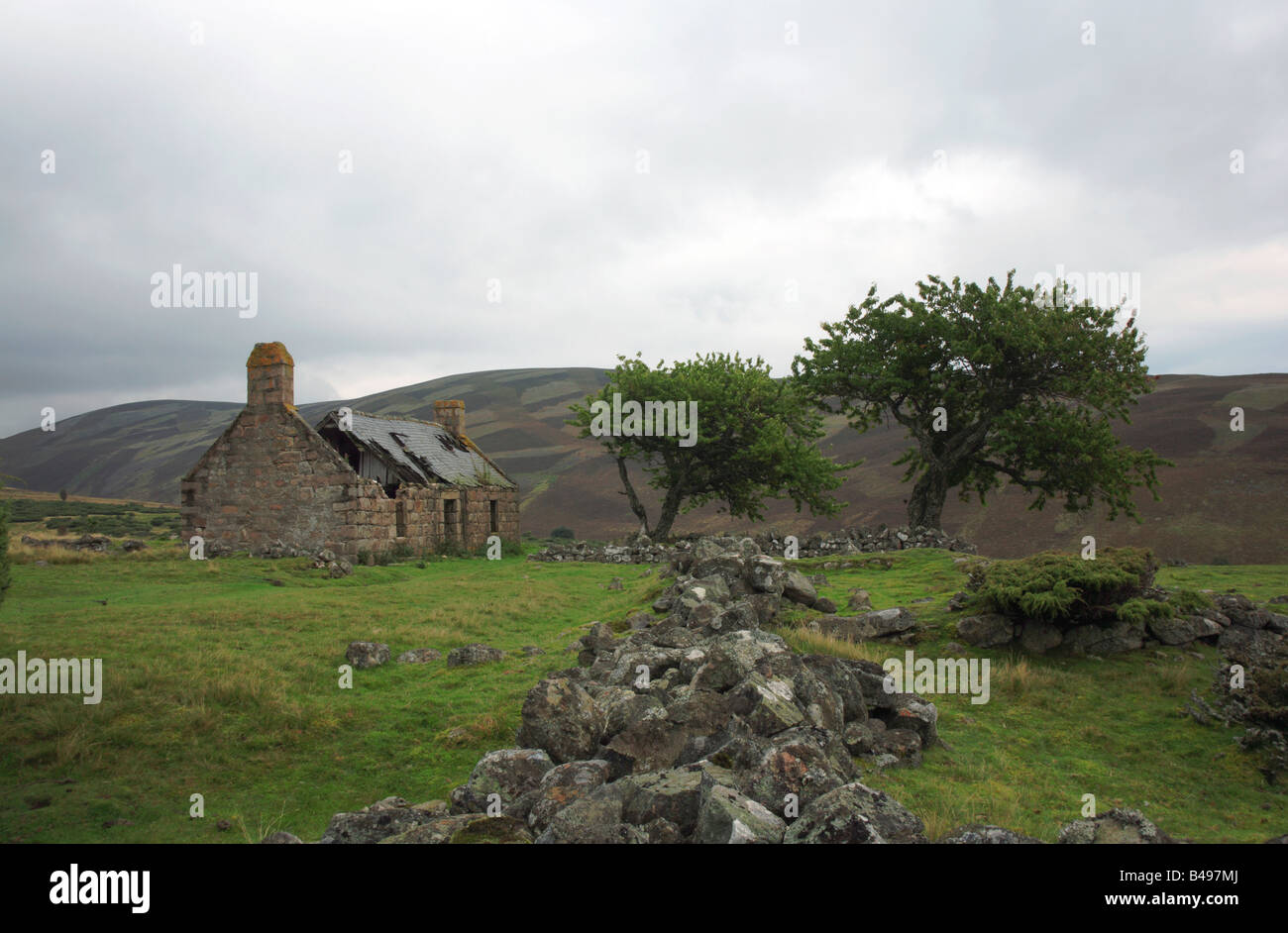 Abandoned croft at Glenfenzie, near Ballater, Aberdeenshire, Scotland