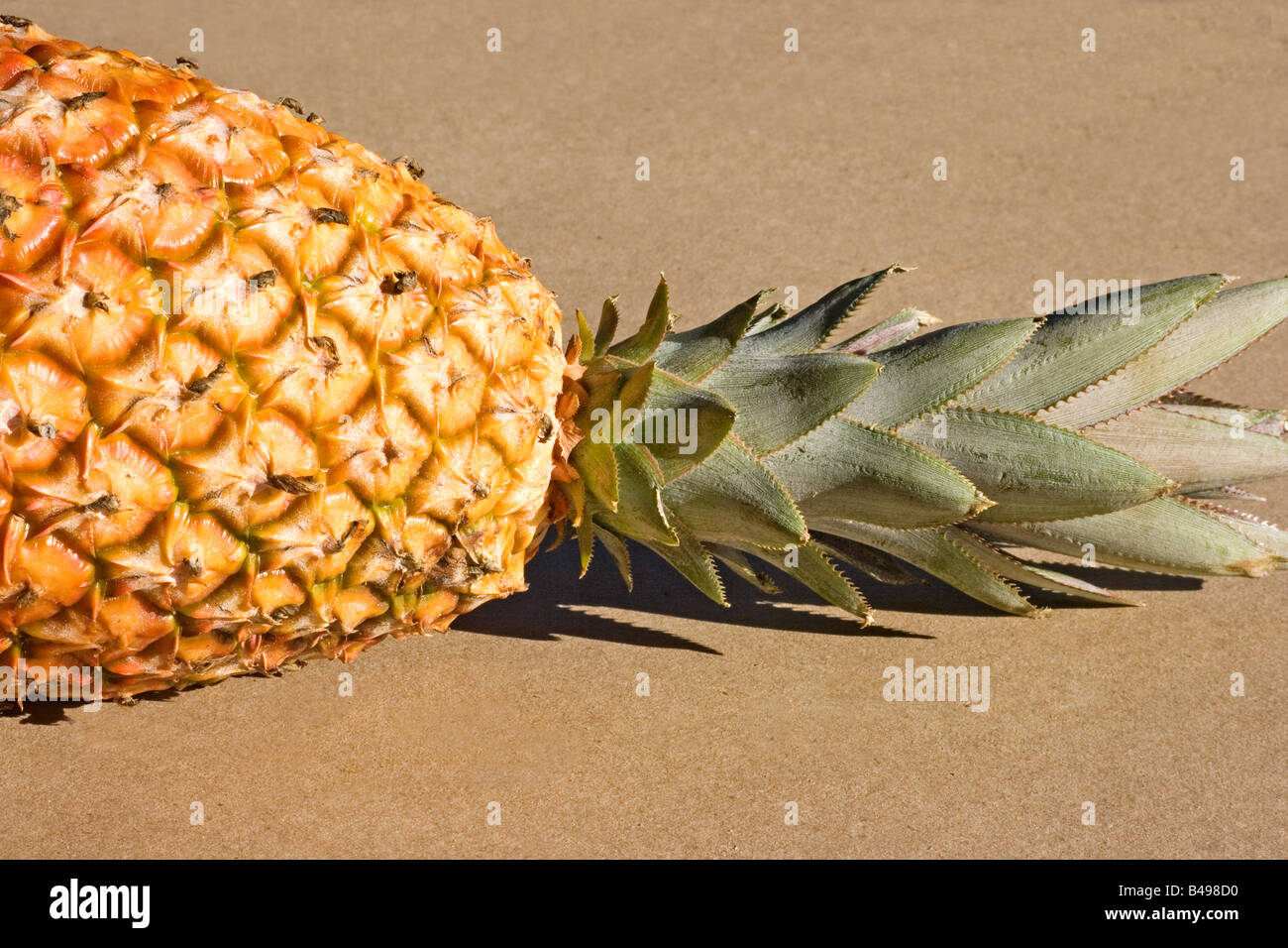 Ripe pineapple detail isolated on beige background Stock Photo