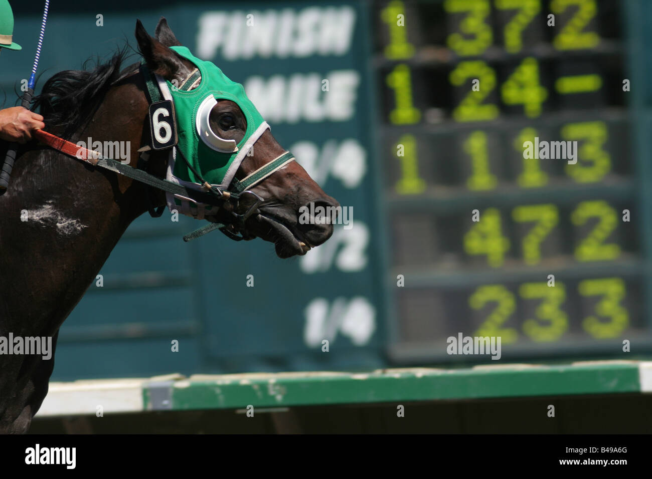 a horse passes the betting board as it reaches the finish at the california state fair in sacramento in 2008 Stock Photo