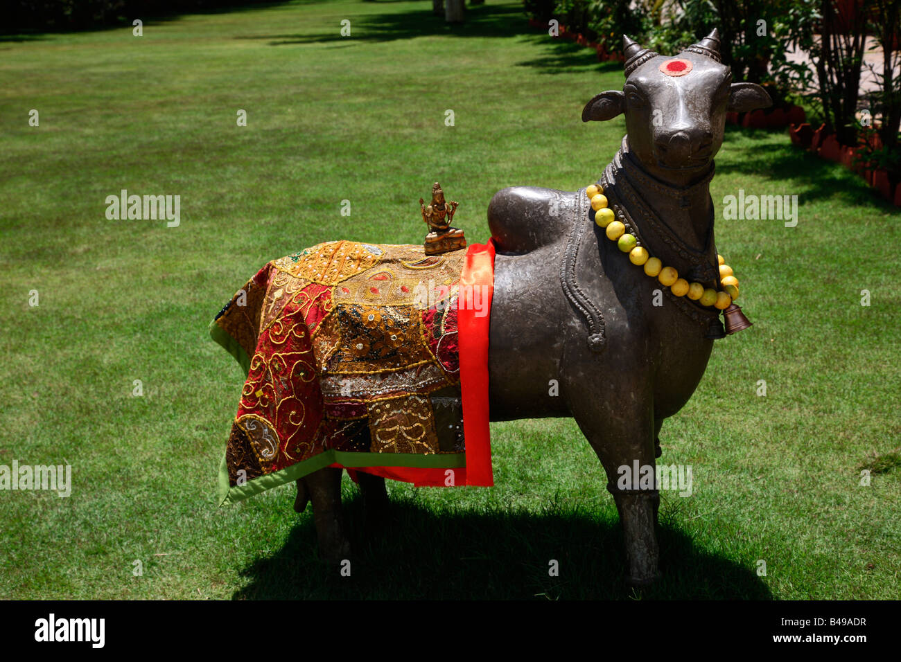 Nandi cow hires stock photography and images Alamy